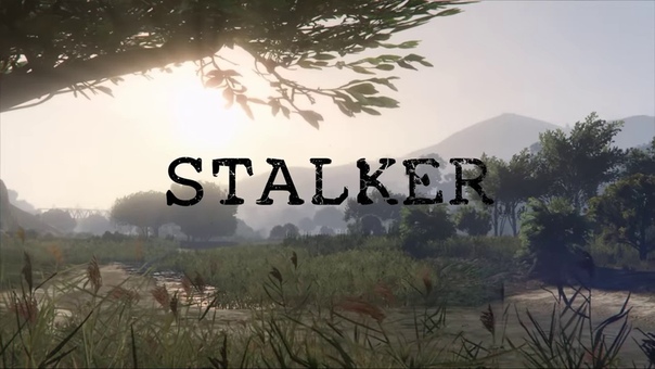 GTA V STALKER Parody. Time is STALKER