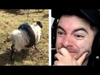 A BAAAAAAD SITUATION