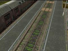 082: Platform Wierzchucin (0,30-4.5m) start1