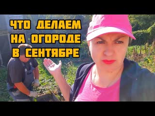 ПОДГОТОВКА К ЗИМЕ: ГРЯДКИ ПОД ЧЕСНОК, А ТАК ЖЕ ПОСЛЕДНИЙ УРОЖАЙ ПЕРЦА.  Деревенские будни.