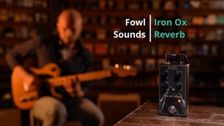 Fowl Sounds Iron Ox Reverb - DMTR Pedal Shop #быстрообзор