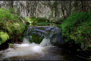 Finn Spring Oy - Finlands largest spring water manufacturer