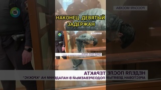 Девятый задержан. Крокус Сити Холл Москва. #крокуссити #заказчик  #организатор