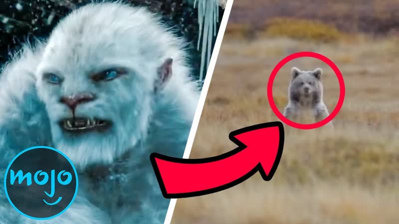 Top 5 Freaky Facts About