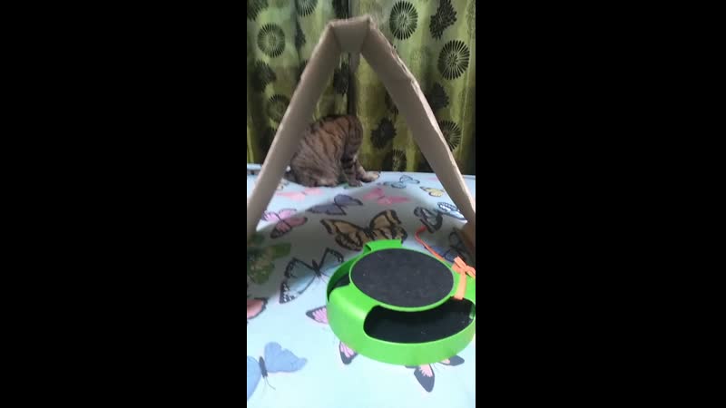 VID_20200925_180610.mp4