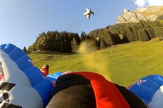 GoPro: WingSuit. Jokke Sommer.