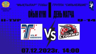 ТОРПЕДО 2009 (Усть-Каменогорск) - СТРИЖИ 2009 (Алматы)