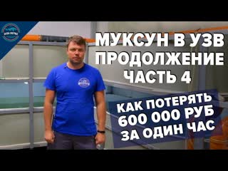 Муксун на АкваФерме часть 4. Первые проблемы