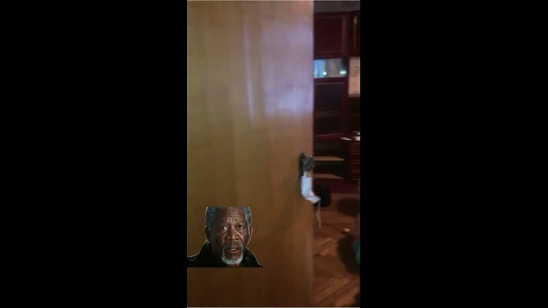 Видео от Alice