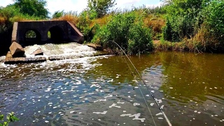 Мормышинг.Нашел котлован с рыбой + неожиданный бонус.