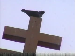 Поездка в Лугу на престольный праздник. Сентябрь 2007 год. Архив старой VHS-камеры.