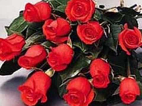 Richard Clayderman Lady