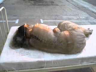 installation @ Arnhem Mode Biennale 2011 (1 june-3 july)
