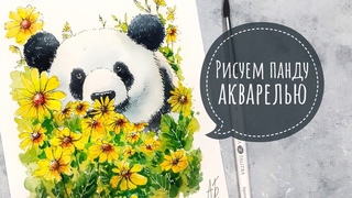 ПАНДА АКВАРЕЛЬЮ / рисование с нуля