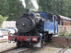 QR DD17 #1049 Whistle