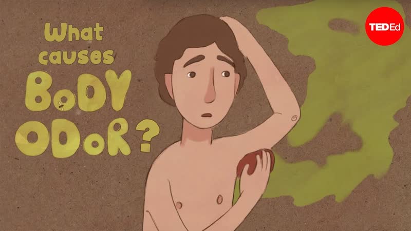 What causes body odor Mel
