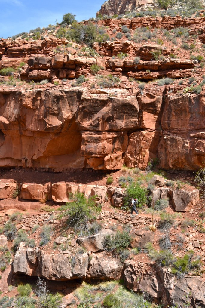 Наталья Корицкая | San Francisco