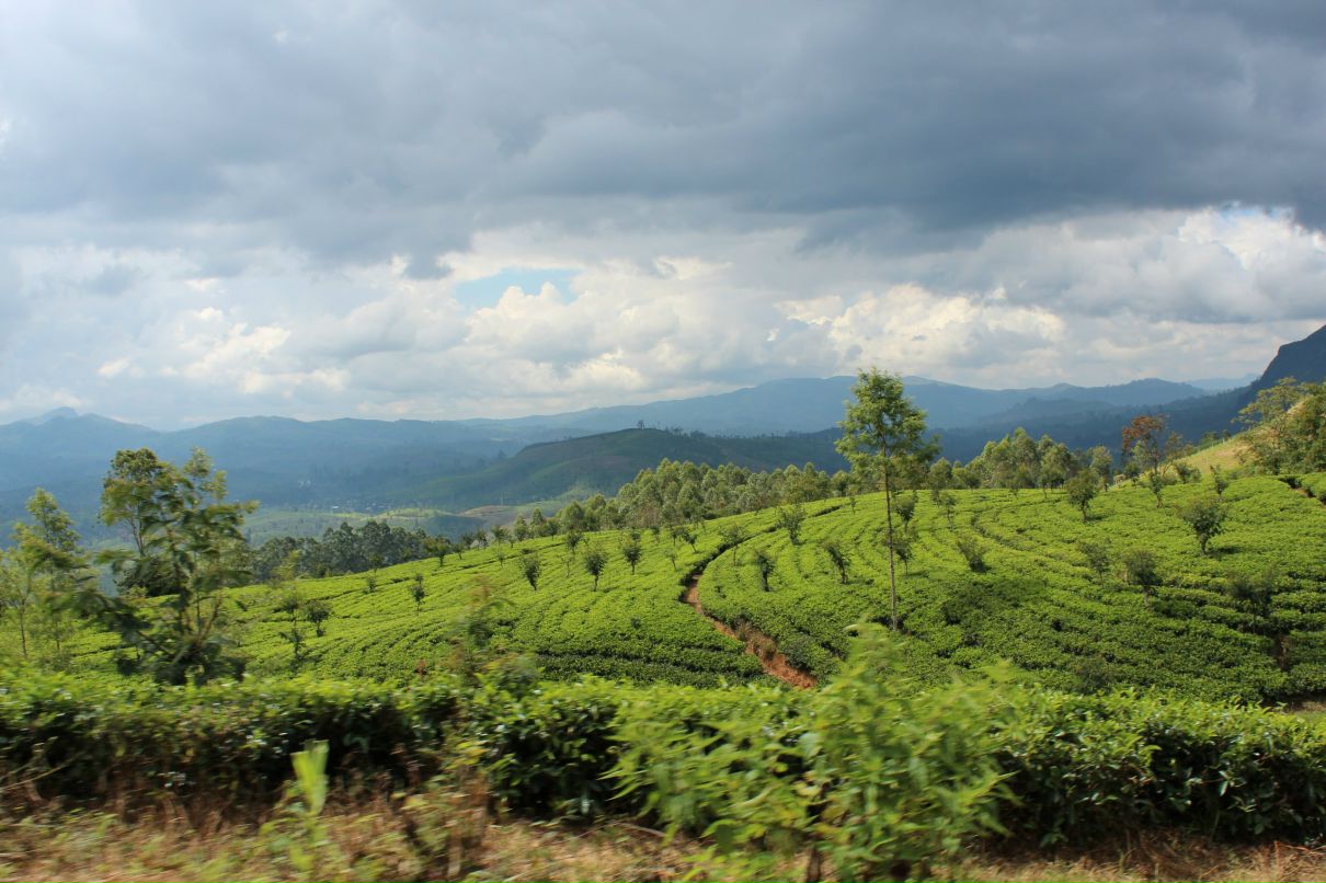 Евгения Ведерникова | Санкт-Петербург