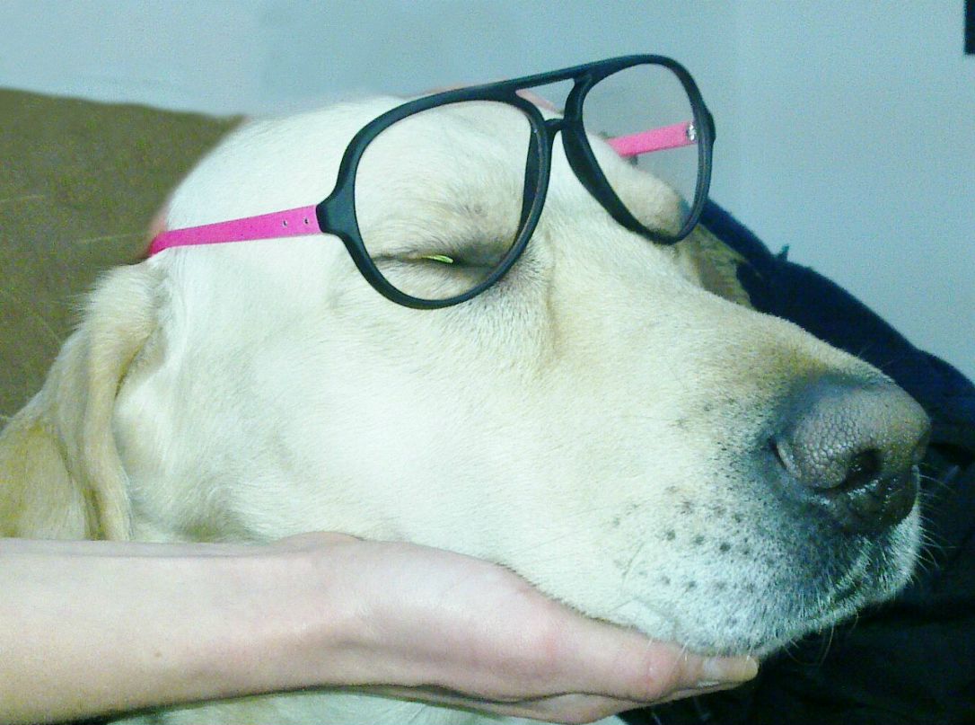 Настя Проскурина | Одесса