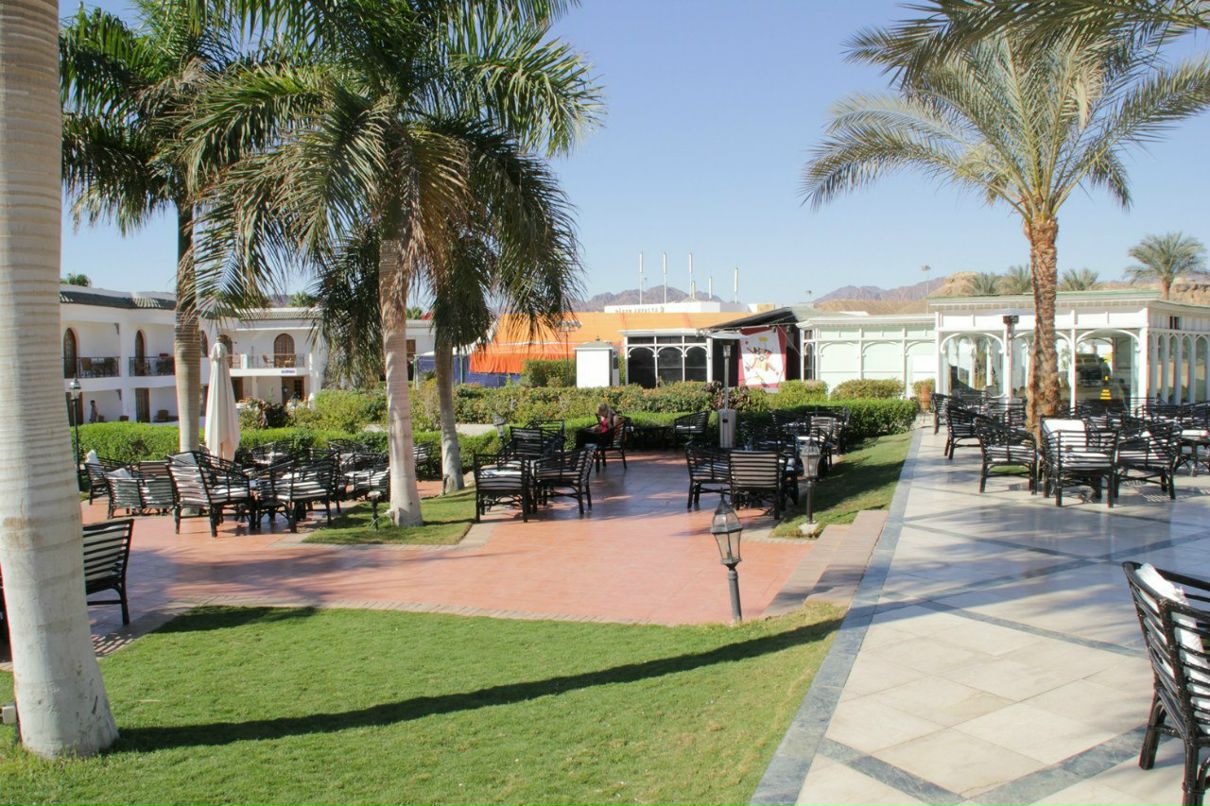 Владимир Пехоца | Краснодар