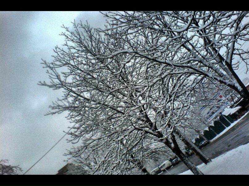 Иван Дударь | Киев