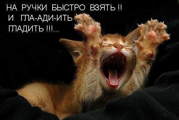 Дмитрий Харитонов | Новосибирск