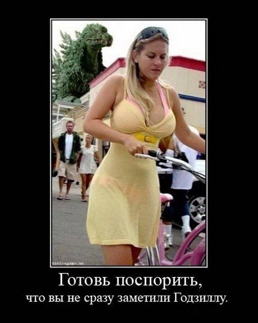 Александр Кудряшов | Санкт-Петербург