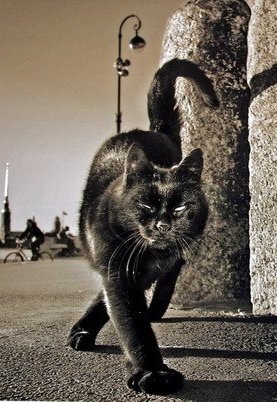 №65, Вера Соколова, 39 лет №65, Вера Соколова, 39 лет