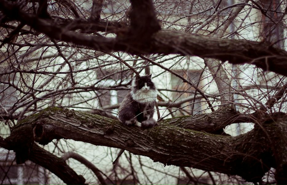 №42, Fobka Yukkka, 39 лет, Москва №42, Fobka Yukkka, 39 лет, Москва