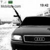 Аватар: Равиль Багауов