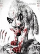 Владислав Нескорений | Киев