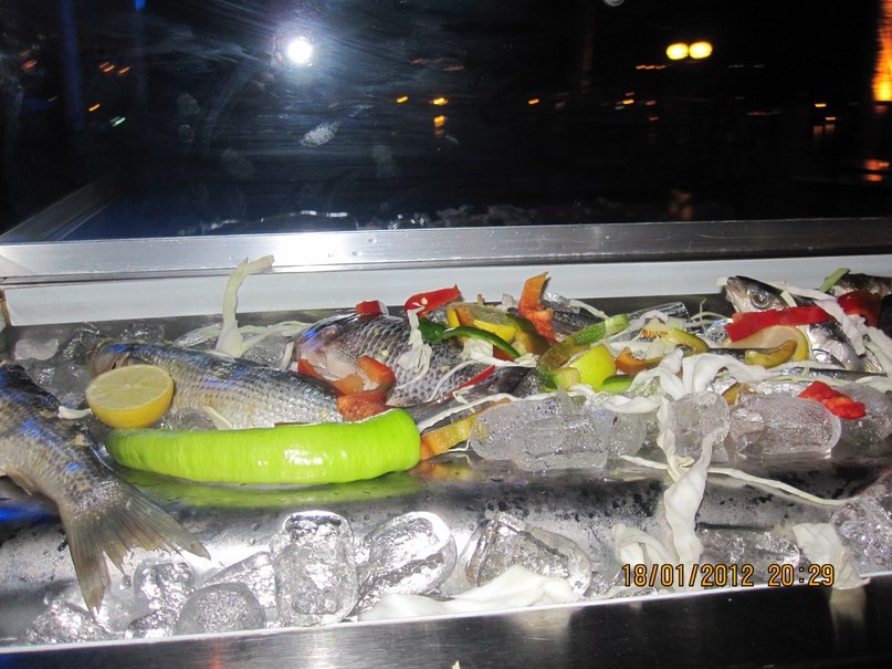 Жанна Левина | Щелково