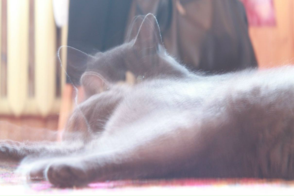 Витя Оля & | Санкт-Петербург