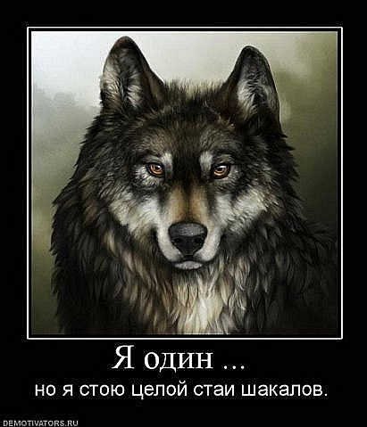 Александр Маринцев | 