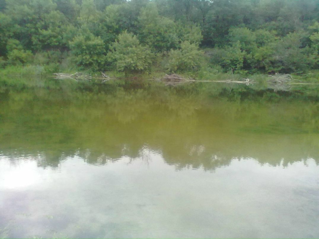 Наталия Хомутова | Луганск