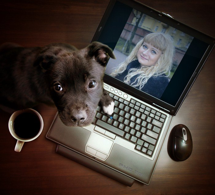 Яна Росина | Смоленск