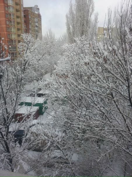 №106, Кристина Балыкина, Ростов-на-Дону №106, Кристина Балыкина, Ростов-на-Дону