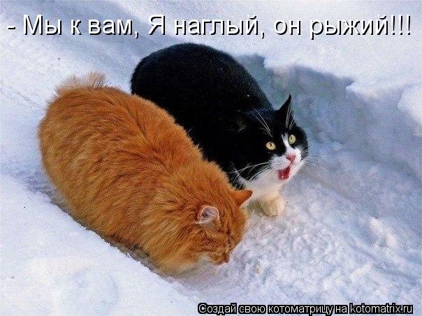 Ольга Разорёнова фото со стены #4