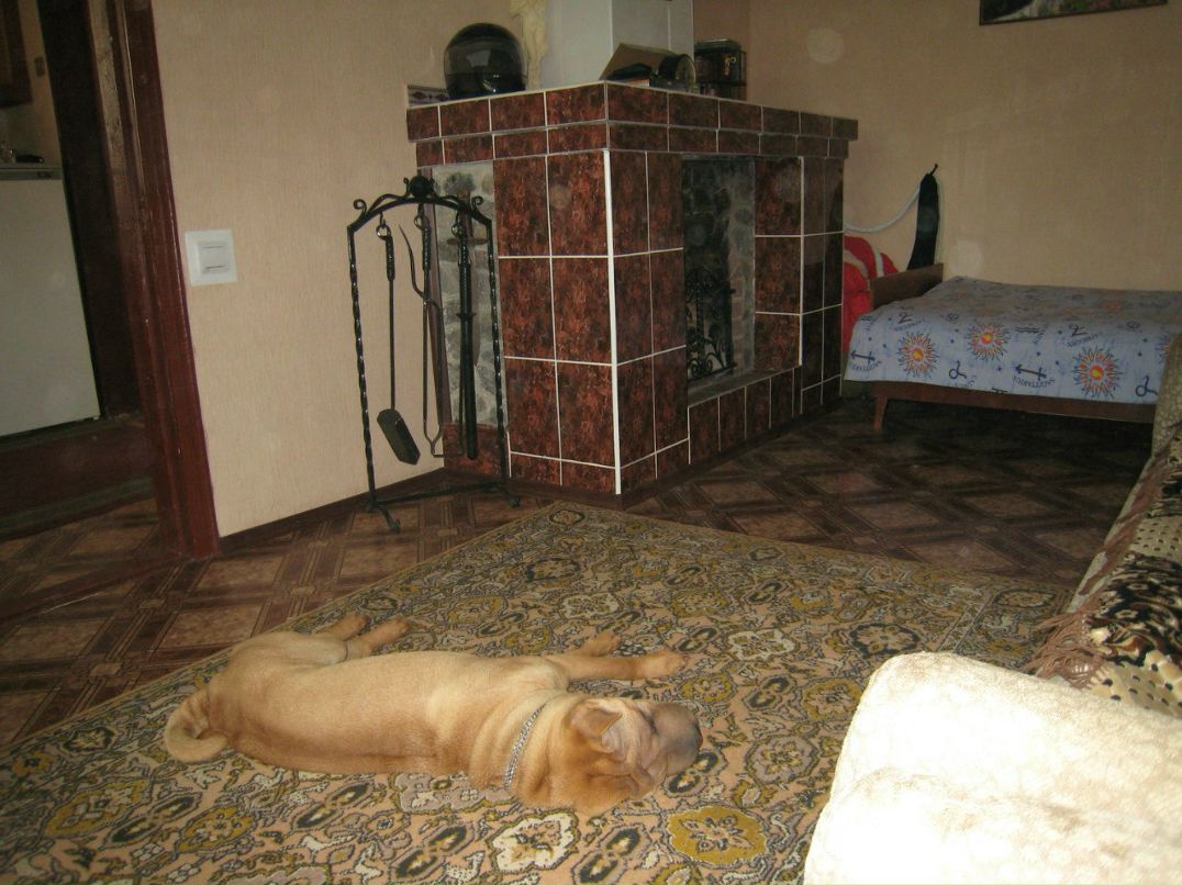 Ирина Сурмай-Поян | Хмельницкий