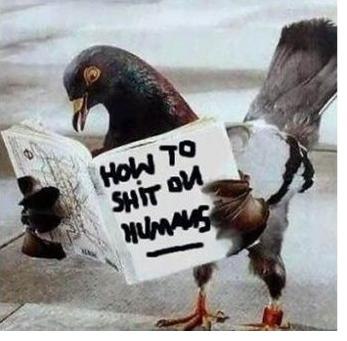 Евгений Матвеев | Москва