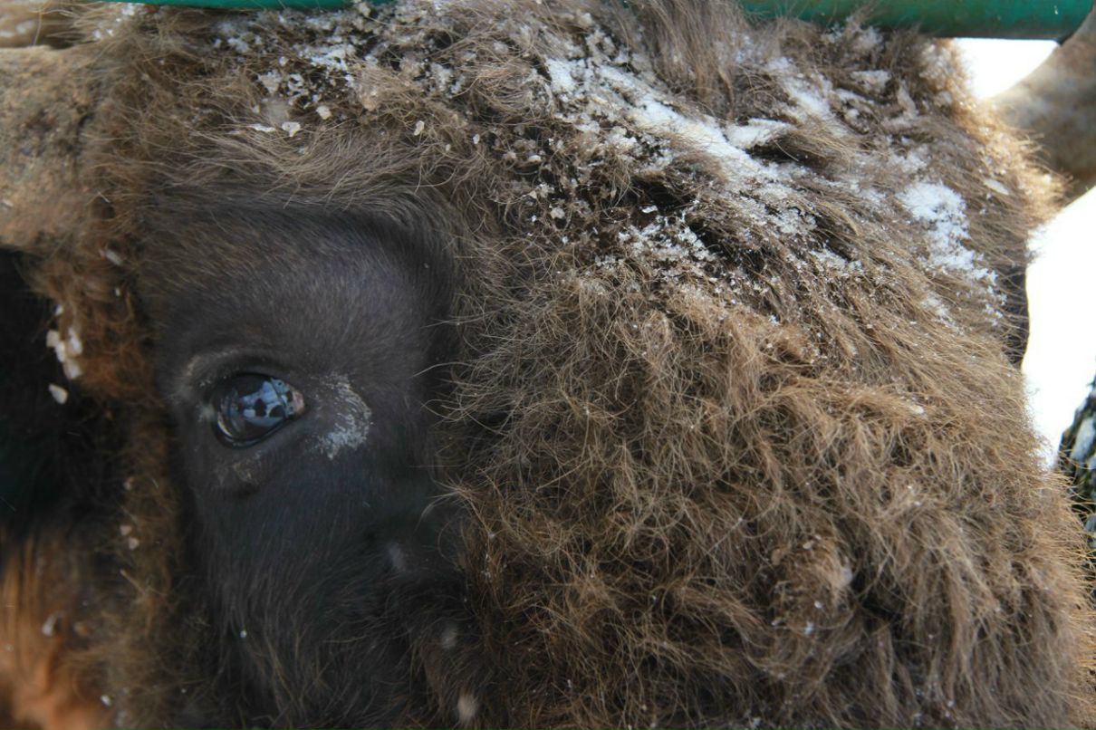 Сергей Казанцев | Москва