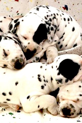 Юлька Светлячек | Херсон