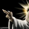Аватар: Raptor Jesus