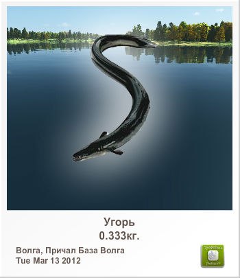 Super Test | Харьков