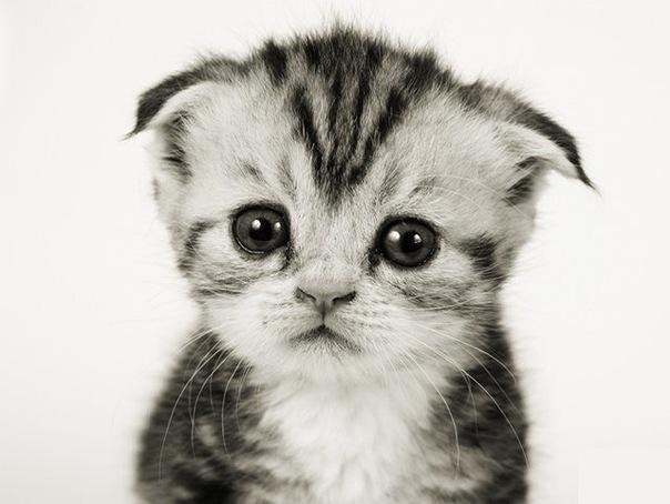 Елена Рябина | Одесса