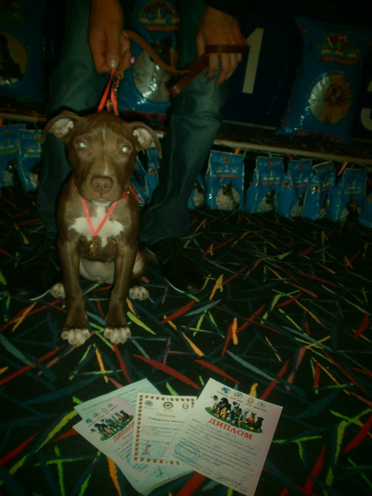 Михаил Мосийчук Александрович | Николаев