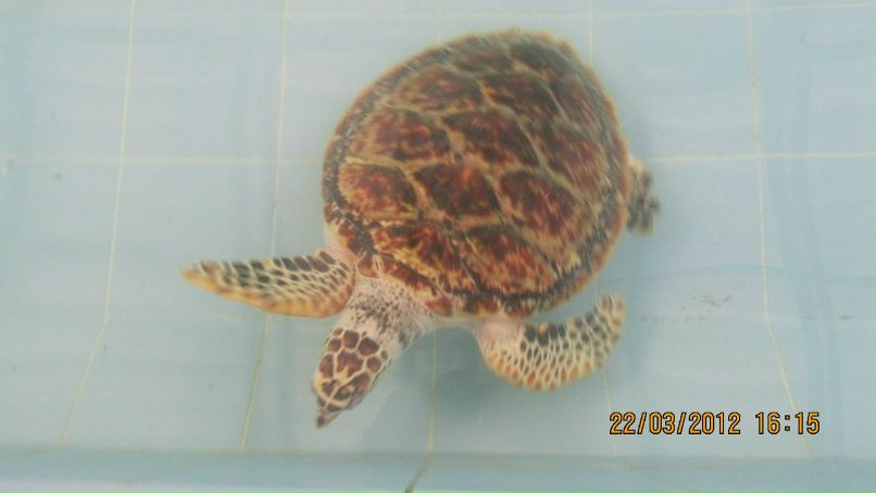 Александр Моор | Челябинск