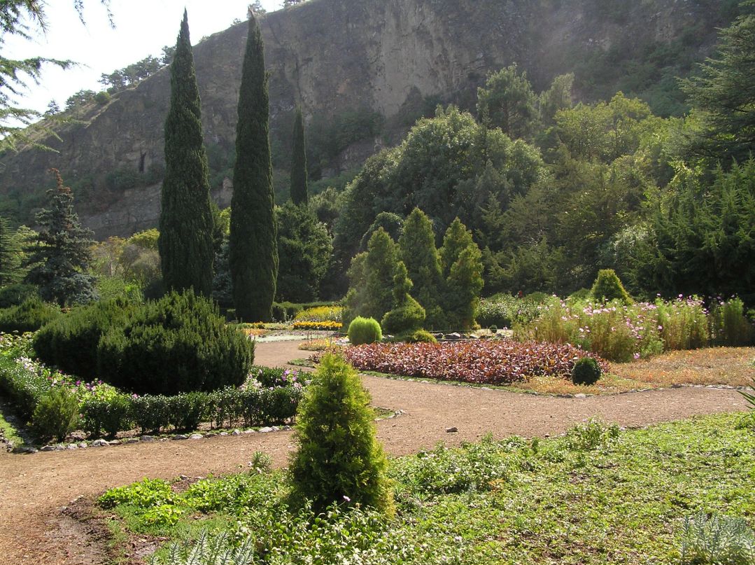 Елена Мидык | Одесса