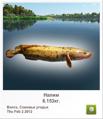 Сергей Мироненко | 