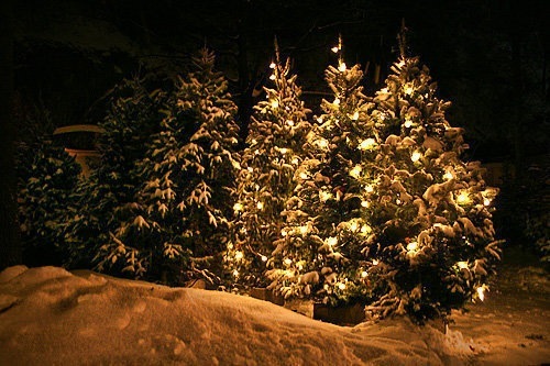 №65, Екатерина Мулюкова №65, Екатерина Мулюкова